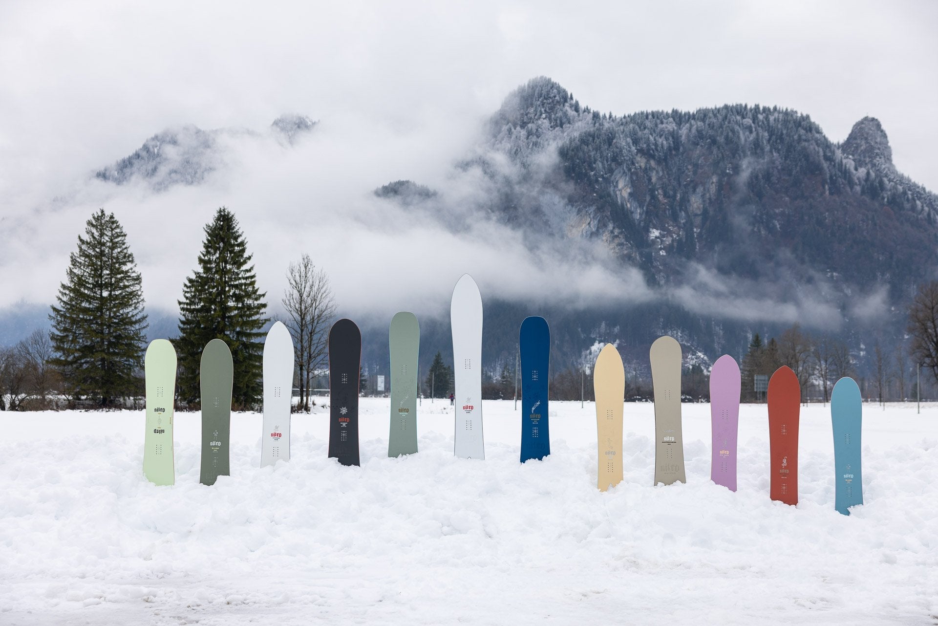 Quiver Capsule 26/27