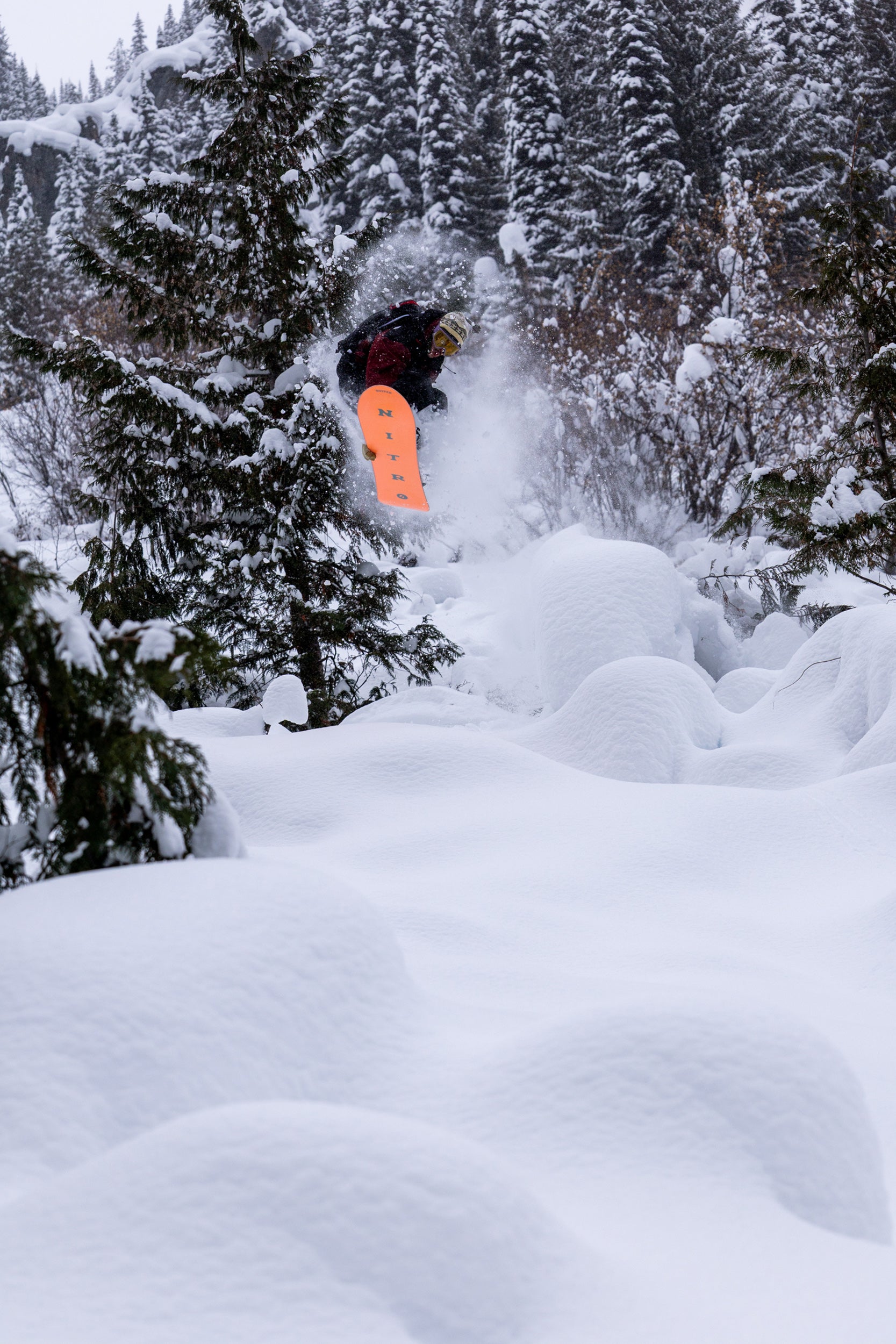 Nitro Dinghy Snowboard