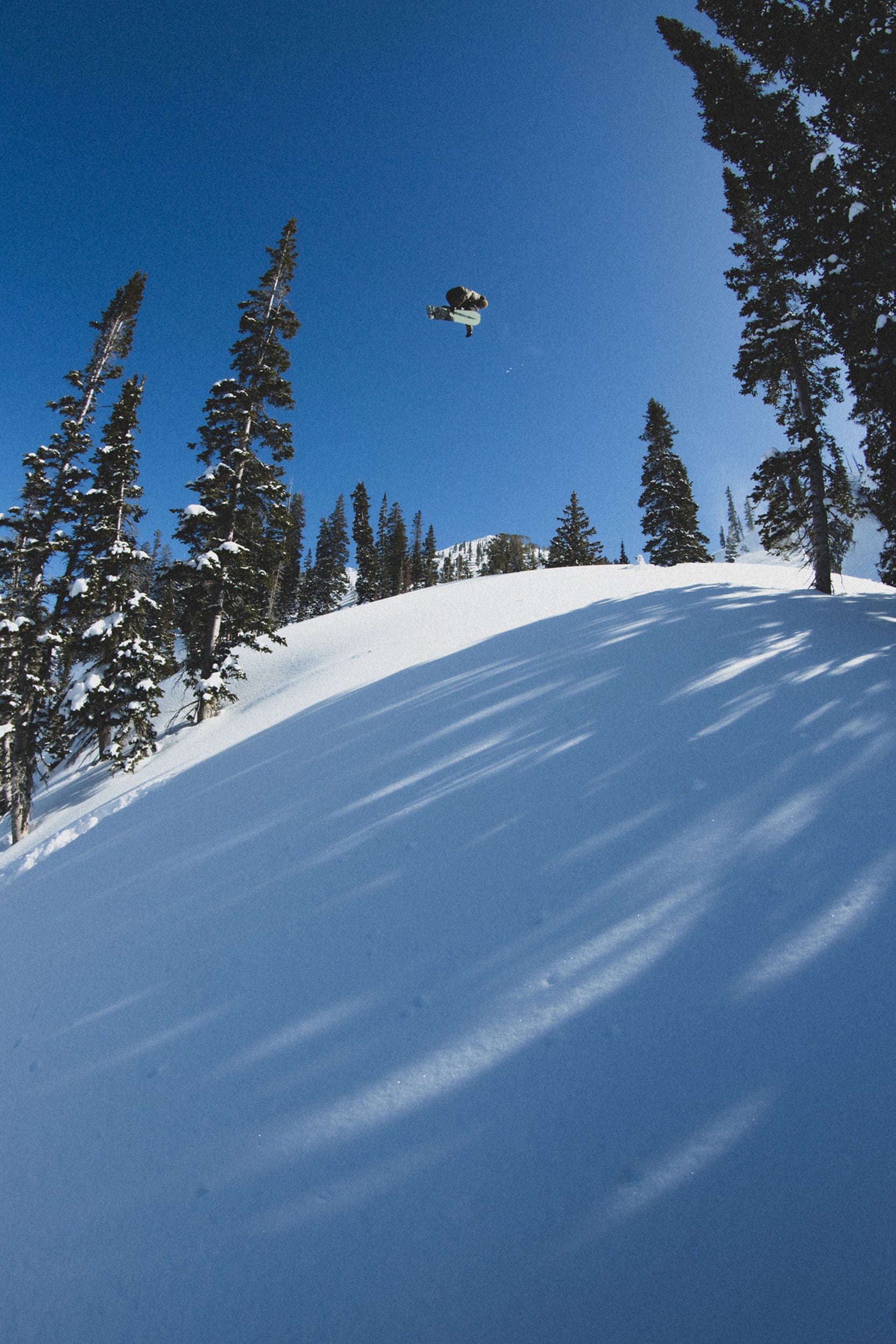 The 2026 Nitro Beast Snowboard - Freestyle Beastmode!