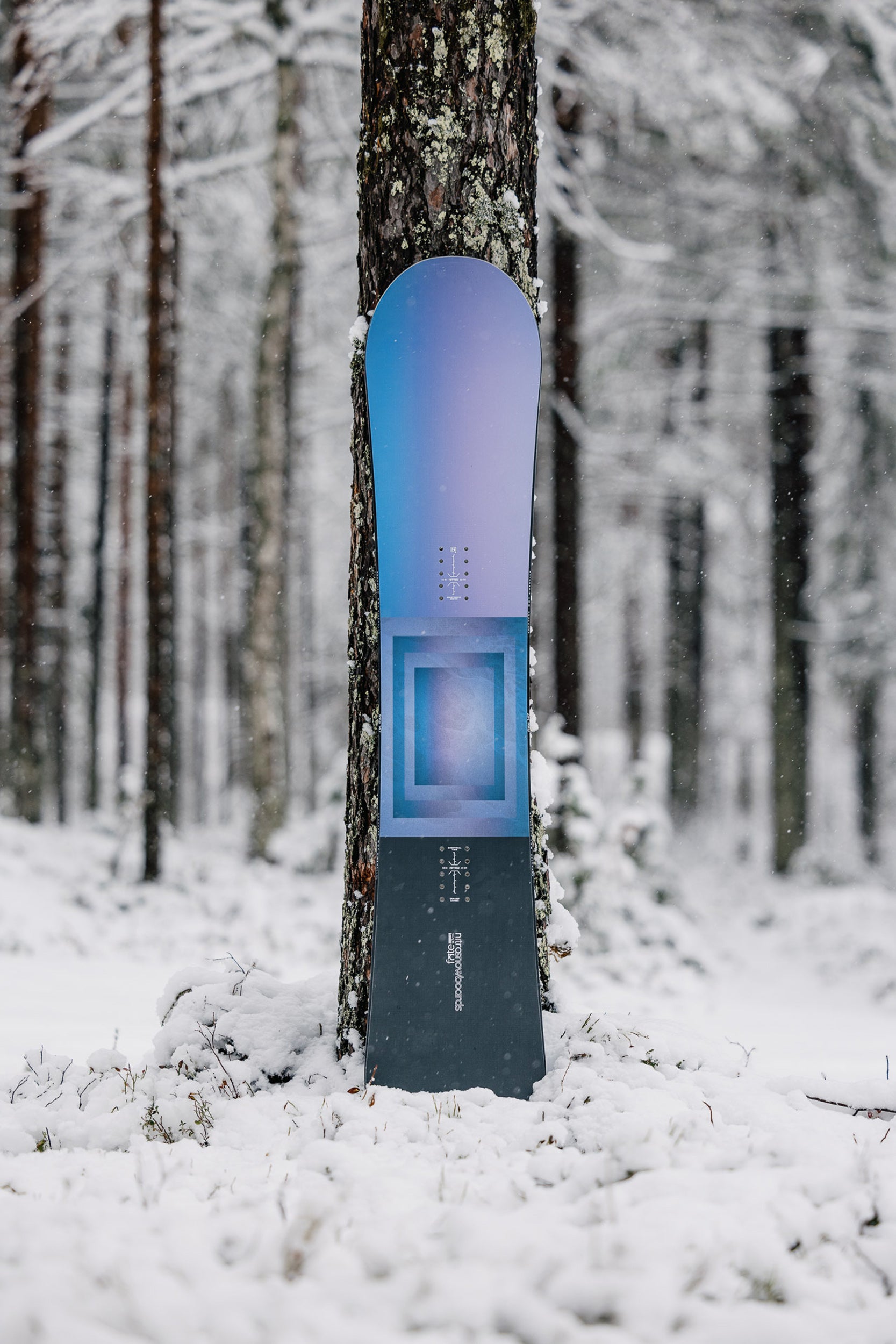 Nitro Fate Women's Snowboard