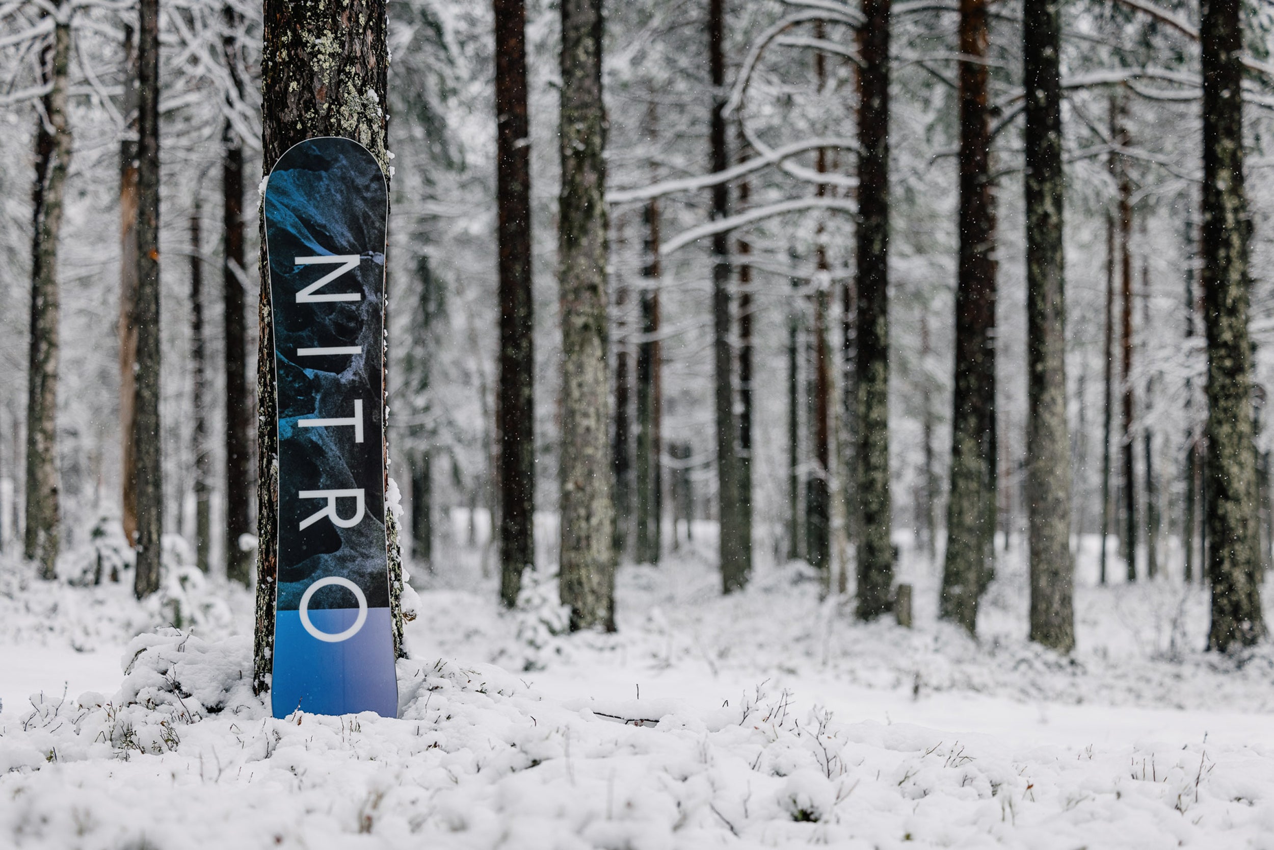 The 2026 Nitro Fate Women's Snowboard - The Legendary All-Mountain