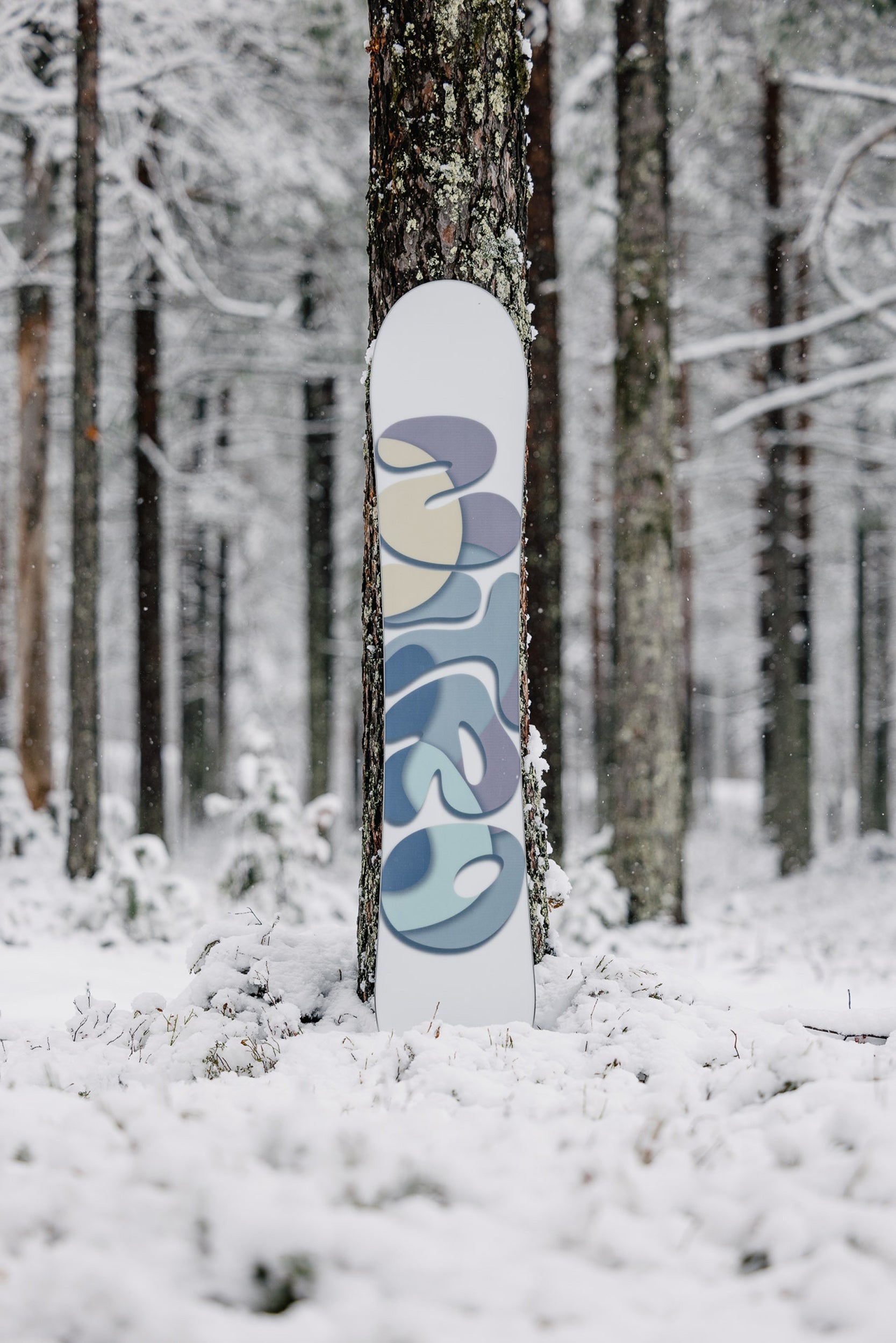 Nitro Nova Women's Snowboard