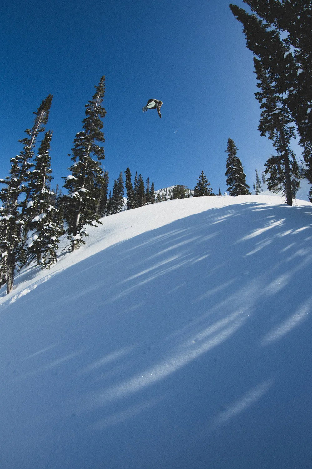 Ludvig Billtoft–Nitro Snowboarding–Action